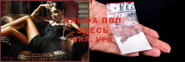 ПСИЛОЦИБИНОВЫЕ ГРИБЫ Белоозёрский