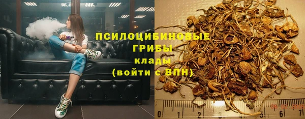 ПСИЛОЦИБИНОВЫЕ ГРИБЫ Белоозёрский