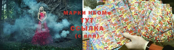 ПСИЛОЦИБИНОВЫЕ ГРИБЫ Белоозёрский