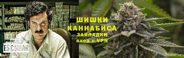 ПСИЛОЦИБИНОВЫЕ ГРИБЫ Белоозёрский