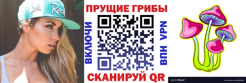 Псилоцибиновые грибы Psilocybe Елизово